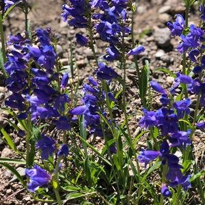 Meet your Posher, Anita